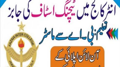 Fazaia Inter College Job application Form