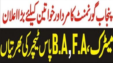 Education Department Punjab govt jobs