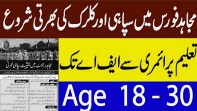 Mujahid Force Jobs 2021 Application Form