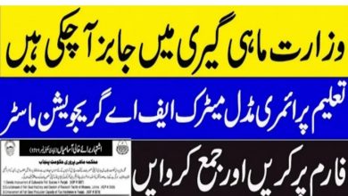 Fisheries Department Punjab Jobs 2021