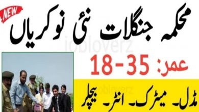 Forest and Wildlife Department Jobs 2021
