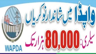 Water and Power Development Authority govt jobs