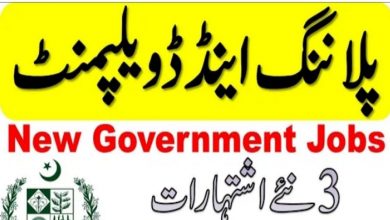 Planning and Development Punjab Jobs 2021