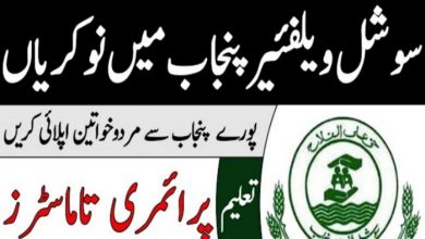 Bait ul Maal and Social Welfare Department today job