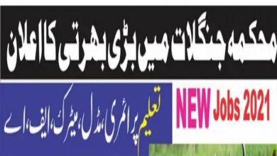 Govt jobs Punjab Wildlife and Parks Department