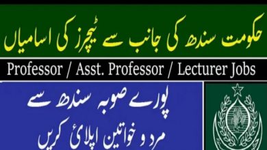 Govt College University Hyderabad Jobs 2021