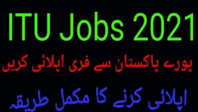 Information Technology University ITU jobs
