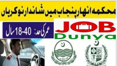 Gujrat Canal Division govt jobs