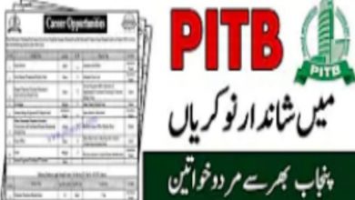 Pitb jobs 2021 Lahore