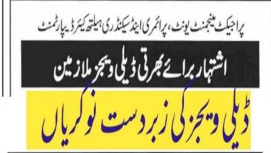 primary and secondary healthcare department punjab jobs