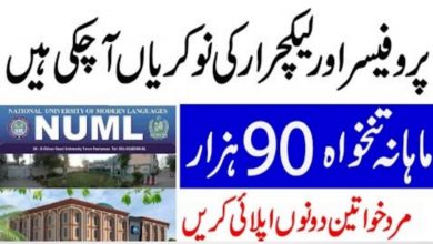 National University of Modern Languages jobs