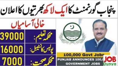 Government of punjab jobs