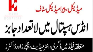 Latest govt jobs The Indus Hospital