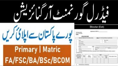 www.finance.gov.pk jobs application form
