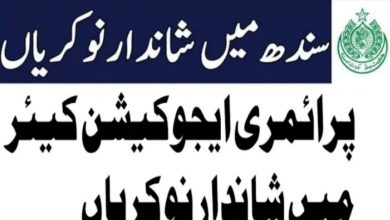 World Bank Funded Project Jobs 2021 – PO Box 12225 Karachi Career