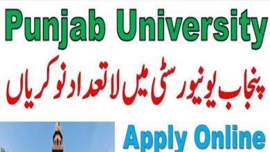 University of the Punjab PU Lahore Jobs 2022