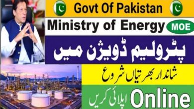 Ministry of Energy Jobs 2021 for Technical Advisor
