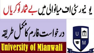 University of Mianwali Jobs 2021 for Visiting Lecturers