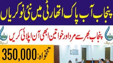 Punjab Aab-e-Pak Authority Jobs 2021 – PAPA Career