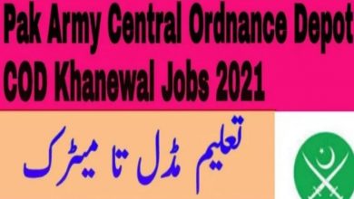 Khanewal Jobs 2021