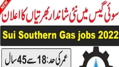 Sui Southern Gas Company SSGC Jobs 2022 Online Application