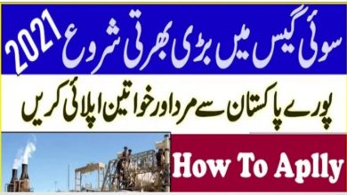 Sui Southern Gas Company SSGC Jobs 2021 Online Application