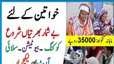 Cantt Public Women Skill Development Institute jobs