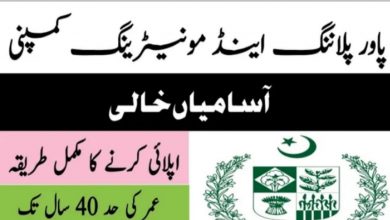 Power Planning and Monitoring Company PPMC Jobs 2022