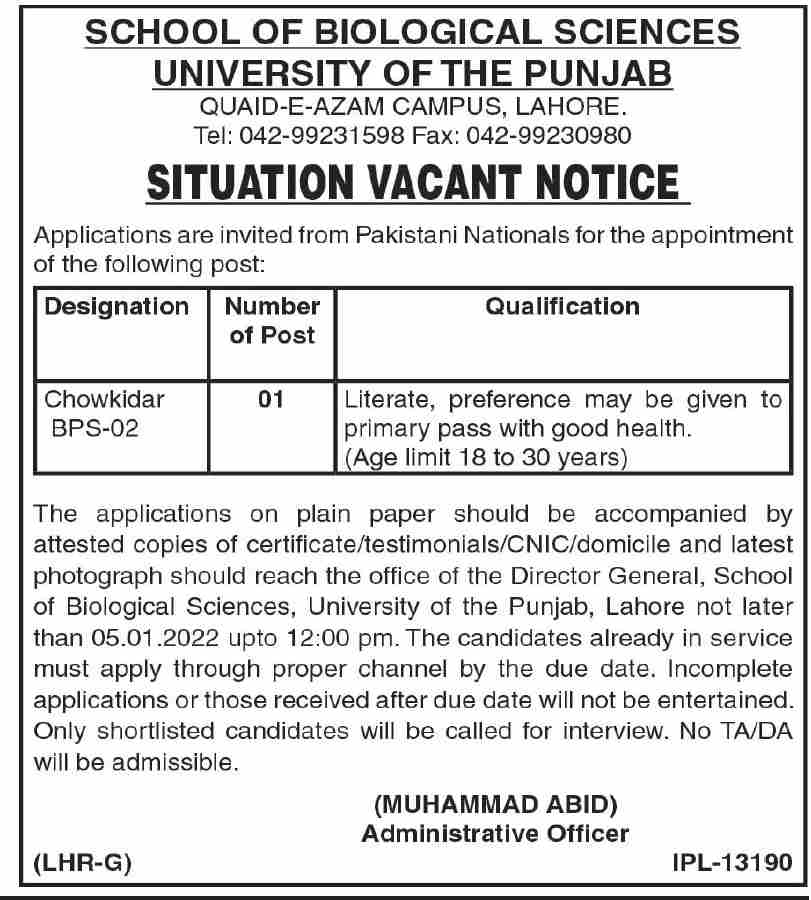 University of the Punjab PU Lahore Jobs 2022
