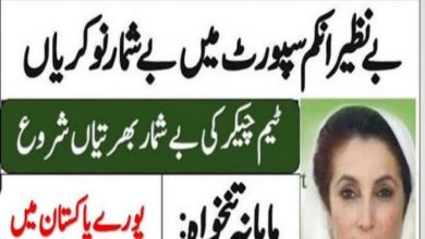 Benazir Income Support Programme BISP jobs