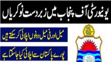 Punjab University PU Lahore Jobs 2021 – Jobs.pu.edu.pk