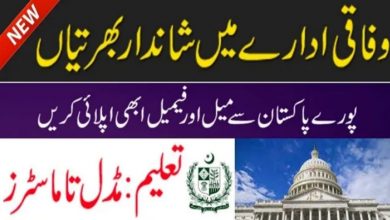 Ministry of Federal Education & Professional Training Jobs 2021