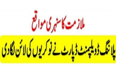 Planning and Development Board Punjab Jobs 2021 Online Application