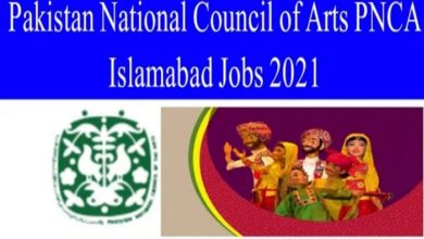 Pakistan National Council of Arts PNCA Jobs 2021 for Director General