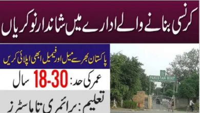 Pakistan Mint Jobs Application Form