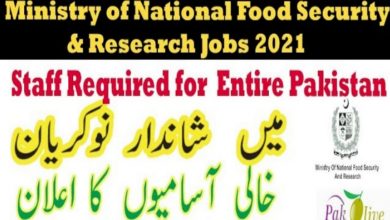 Ministry of National Food Security & Research Jobs 2021 in LDDB
