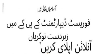 Forest Department Khyber Pakhtumkhwa jobs