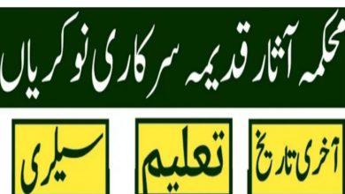 Archaeology Jobs in Pakistan