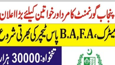 Punjab School Education Department Jobs 2021