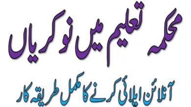 Elementary & Secondary Education Department KPK Jobs 2021