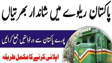 Ministry of Railways Railway Board Jobs 2021 – Download Application Form