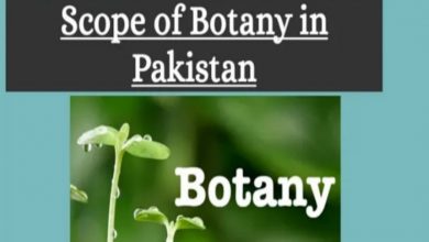Botanist and Assistant Botanist Jobs 2021 in Punjab