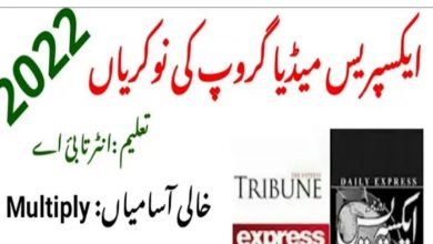 Express media group jobs near lahore