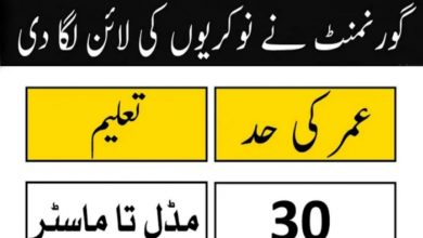 Mines & Minerals Department Punjab Internship Program 2022