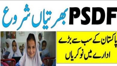 Punjab Skills Development Fund PSDF Jobs 2021