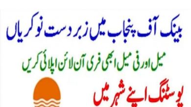 BOP Jobs 2021 Punjab Bank Career Apply Online bop.com.pk