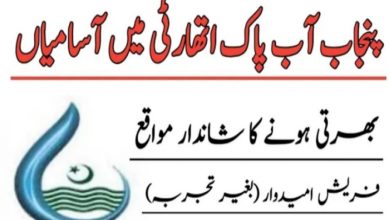 Punjab Aab-e-Pak Authority Jobs 2021 – PAPA Career Notice