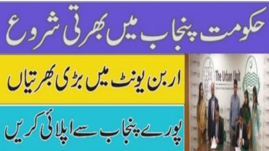 Punjab Government Urban Unit Jobs 2022 – www.urbanunit.gov.pk
