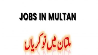 Accountants and Auditor Jobs in Multan