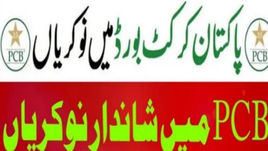 PCB Jobs 2022 – Pakistan Cricket Board Jobs – www.pcb.com.pk
